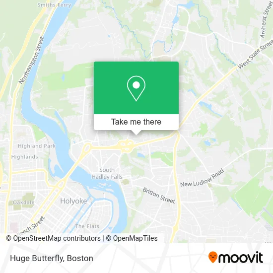 Huge Butterfly map