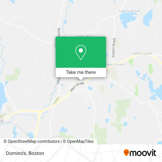 Domino's map