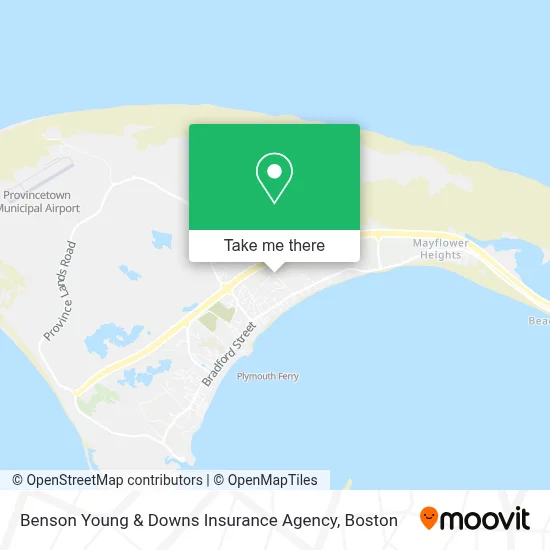 Benson Young & Downs Insurance Agency map