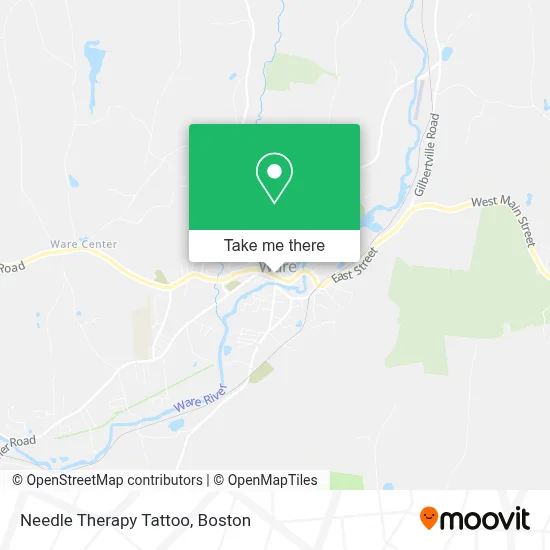 Needle Therapy Tattoo map