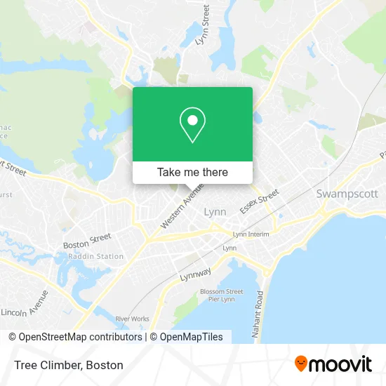 Tree Climber map