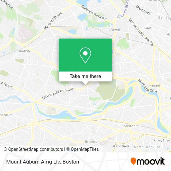 Mount Auburn Amg Llc map