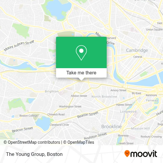 The Young Group map