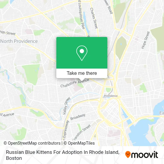 Russian Blue Kittens For Adoption In Rhode Island map