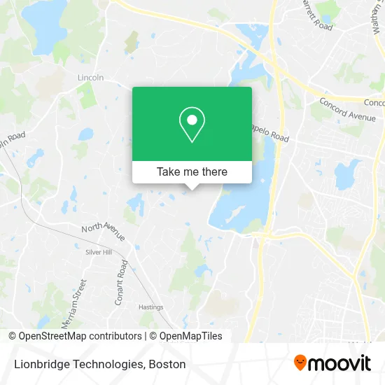 Lionbridge Technologies map