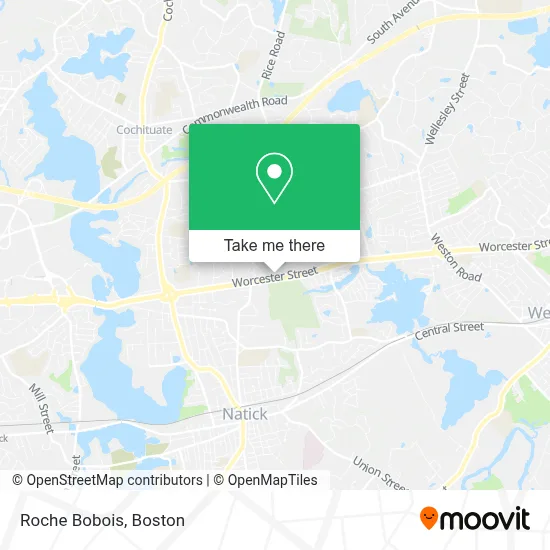 Roche Bobois map