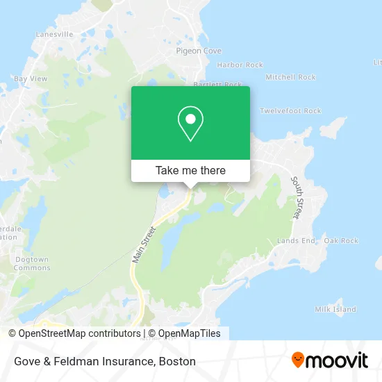 Gove & Feldman Insurance map