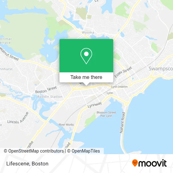 Lifescene map