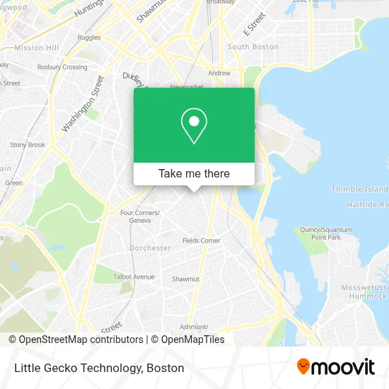 Little Gecko Technology map