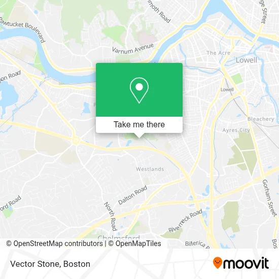 Vector Stone map