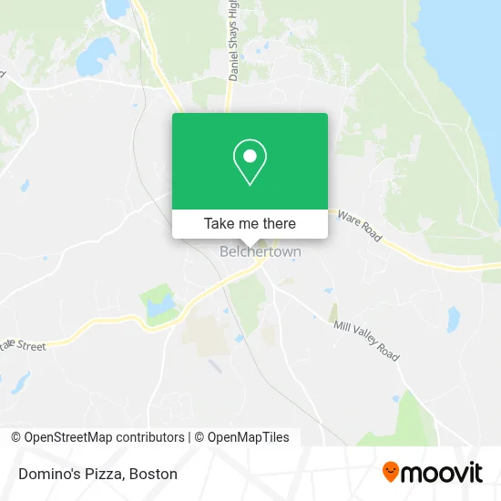 Domino's Pizza map