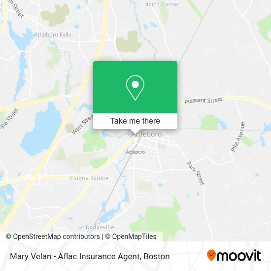 Mary Velan - Aflac Insurance Agent map