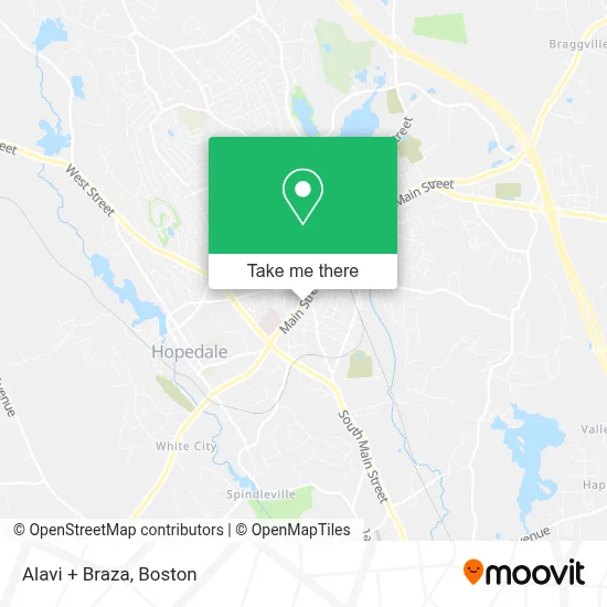 Alavi + Braza map