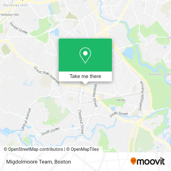 Migdolmoore Team map