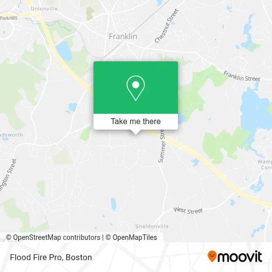 Flood Fire Pro map