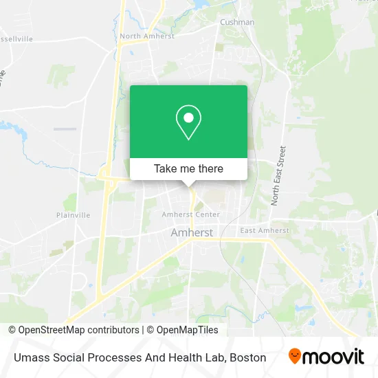 Umass Social Processes And Health Lab map