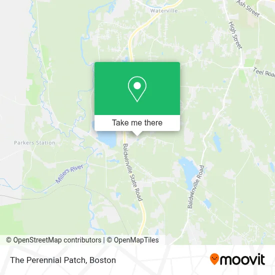 The Perennial Patch map