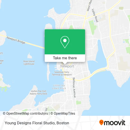 Young Designs Floral Studio map