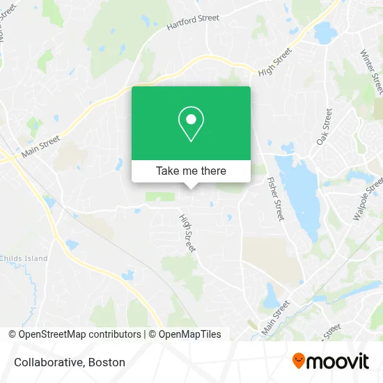 Collaborative map