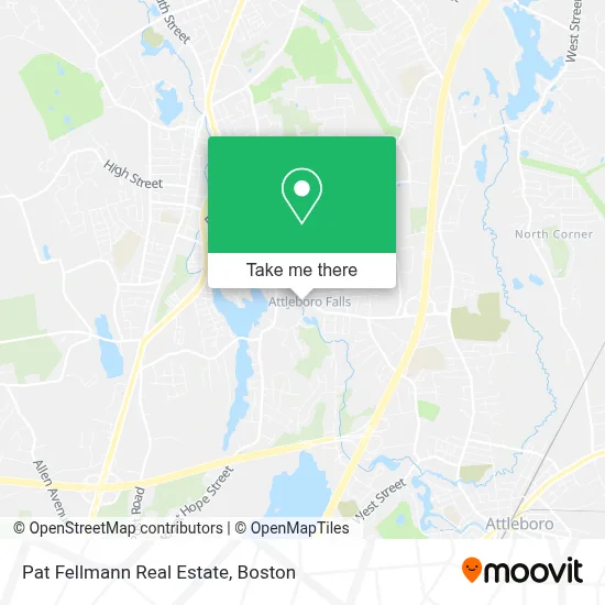 Pat Fellmann Real Estate map
