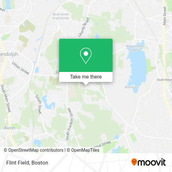 Flint Field map