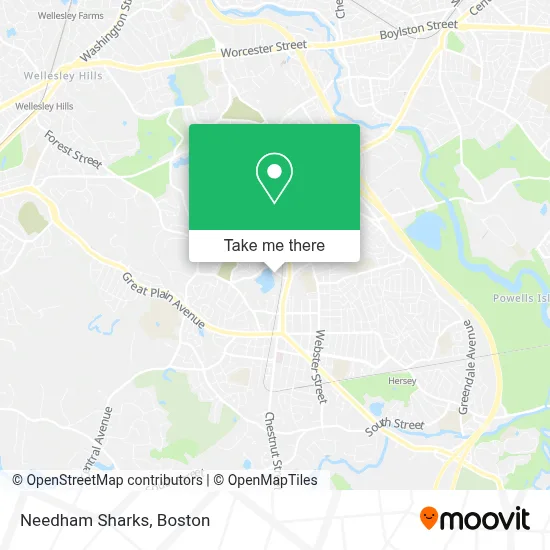Needham Sharks map