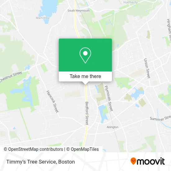 Timmy's Tree Service map