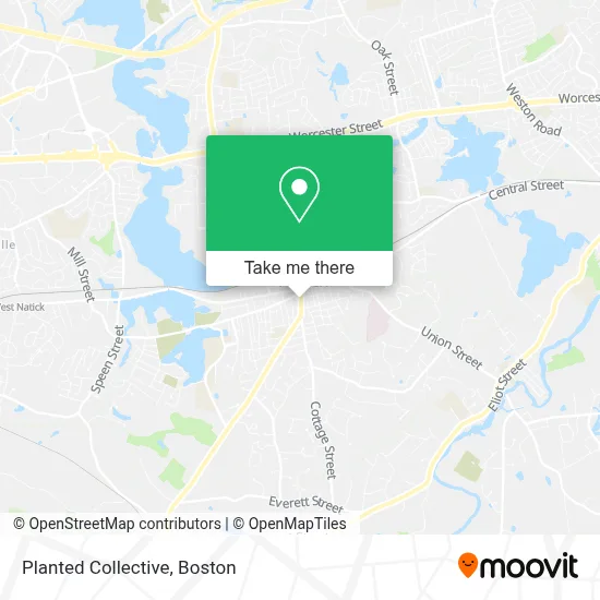 Planted Collective map