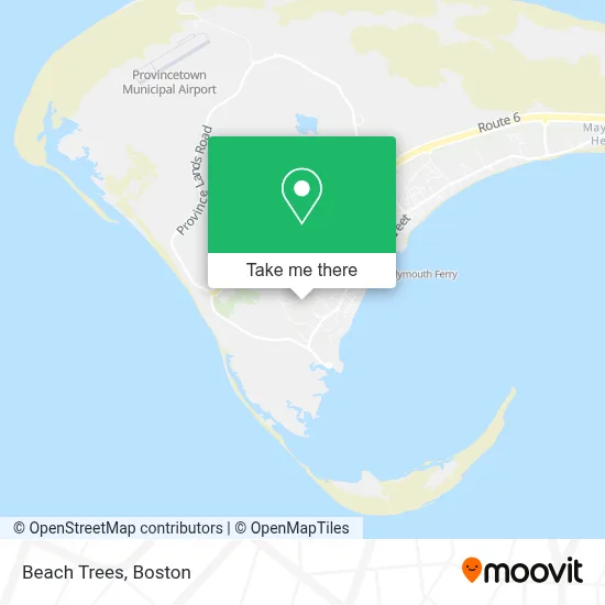Beach Trees map