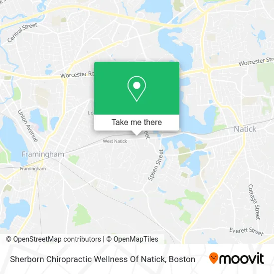 Sherborn Chiropractic Wellness Of Natick map