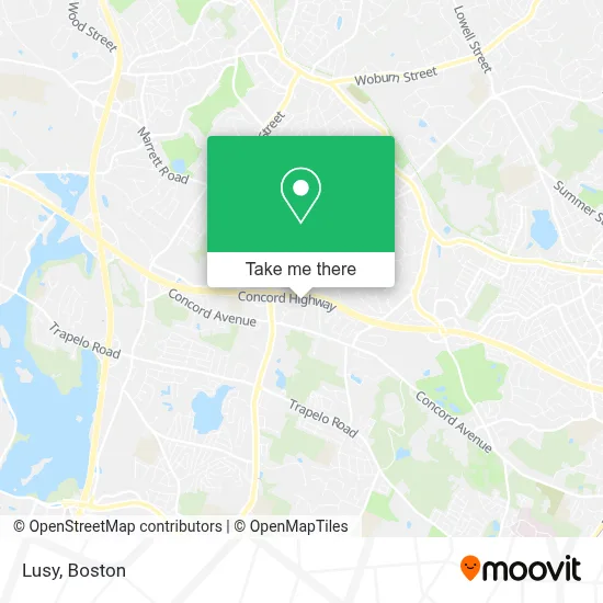 Lusy map