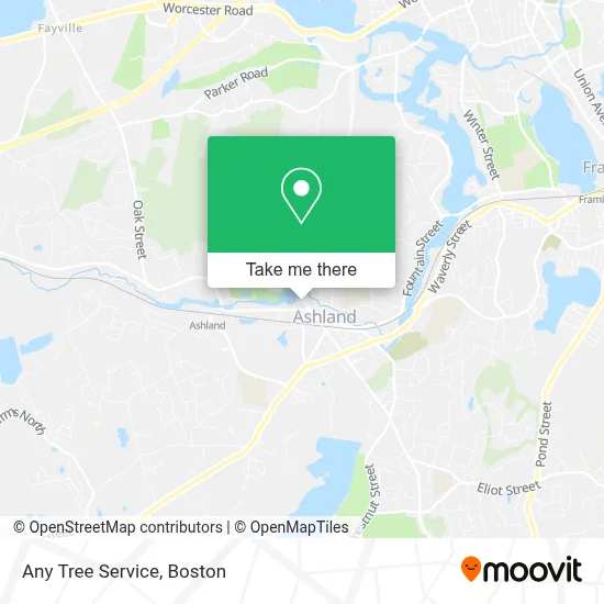 Any Tree Service map