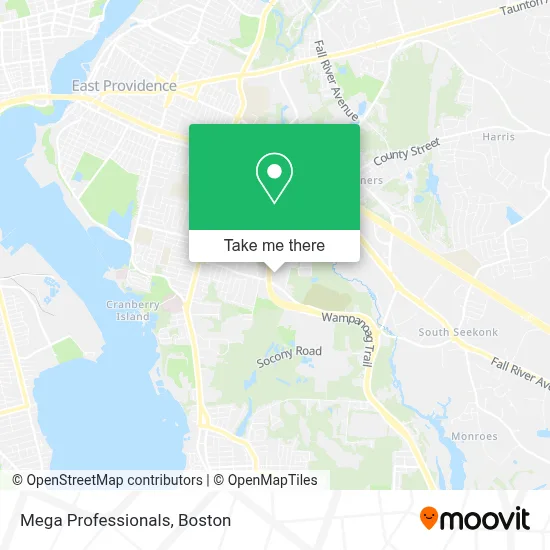 Mega Professionals map