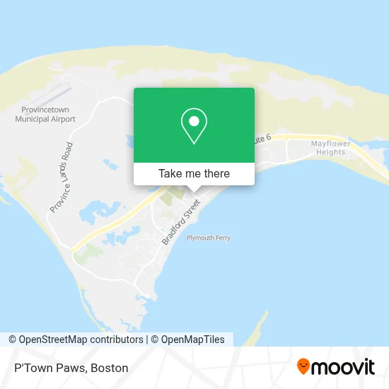 P'Town Paws map
