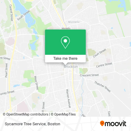 Sycamore Tree Service map