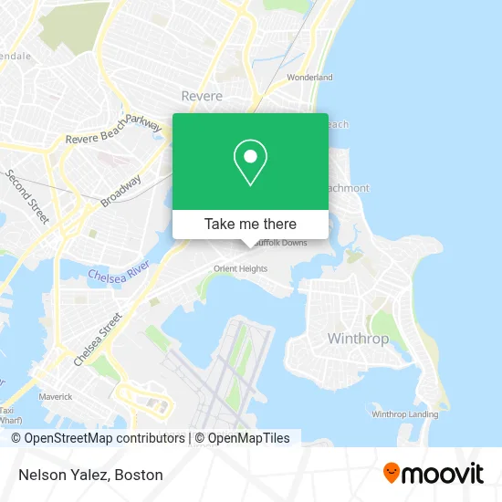 Nelson Yalez map