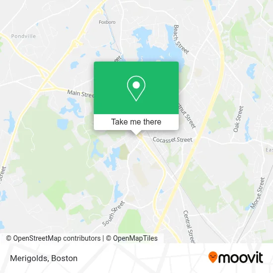 Merigolds map