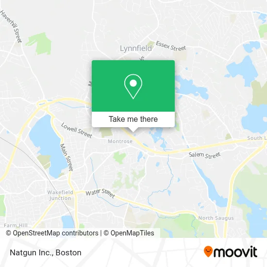 Natgun Inc. map