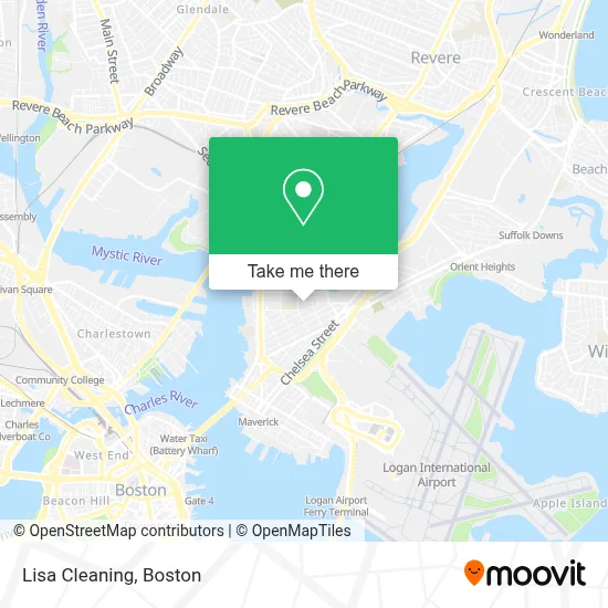 Lisa Cleaning map