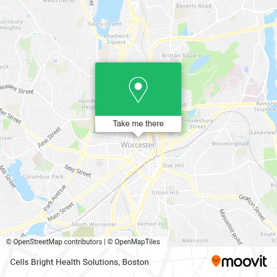 Cells Bright Health Solutions map