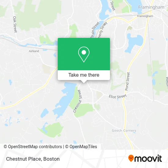 Chestnut Place map