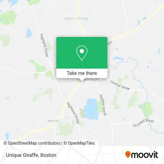 Unique Giraffe map