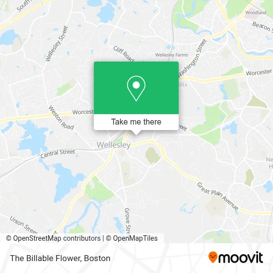 The Billable Flower map
