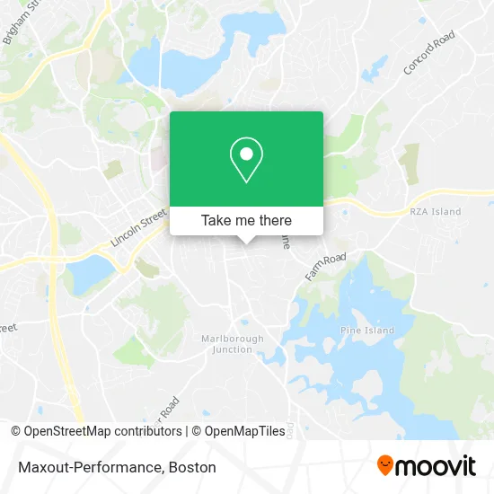 Maxout-Performance map