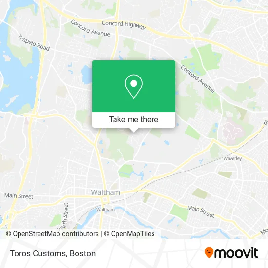 Toros Customs map