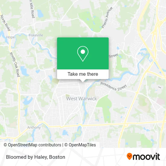 Bloomed by Haley map