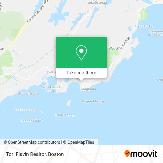 Tori Flavin Realtor map