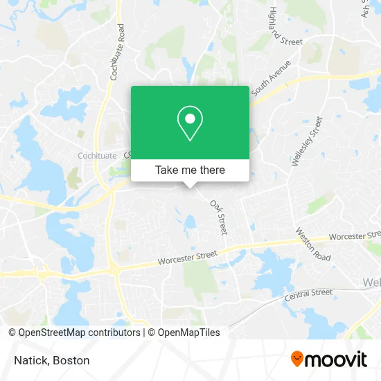 Natick map