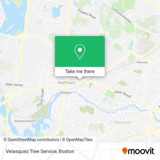 Velasquez Tree Service map