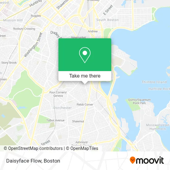 Daisyface Flow map